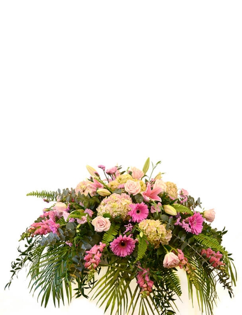 Picture of Pretty in Pink