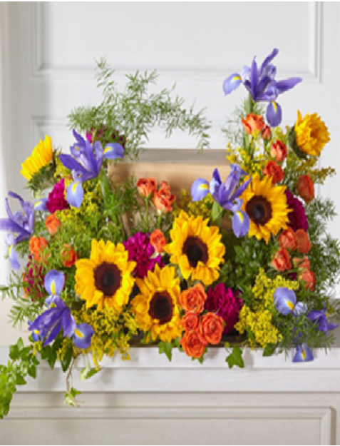 Picture of Vibrant Tribute Collection