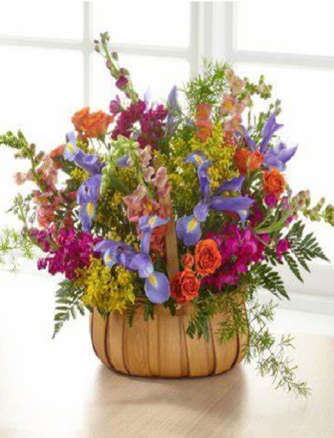 Picture of Vibrant Tribute Collection