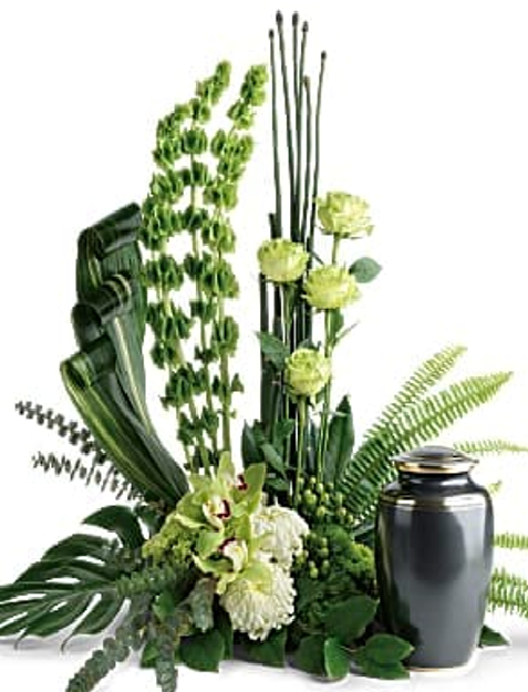 Picture of Tranquil Peace Collection