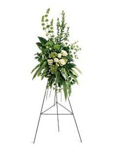Picture of Tranquil Peace Collection