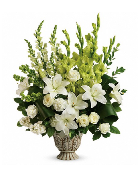 Picture of Tranquil Peace Collection