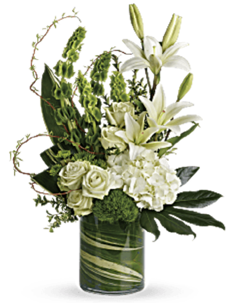 Picture of Tranquil Peace Collection