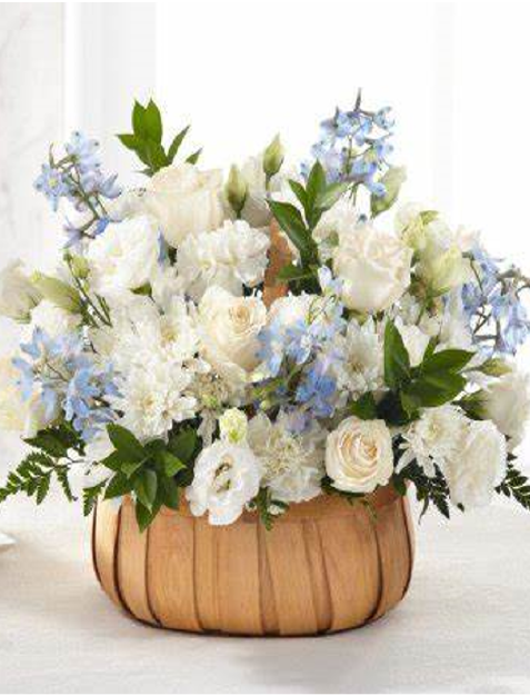 Picture of Darling Remembrance Collection