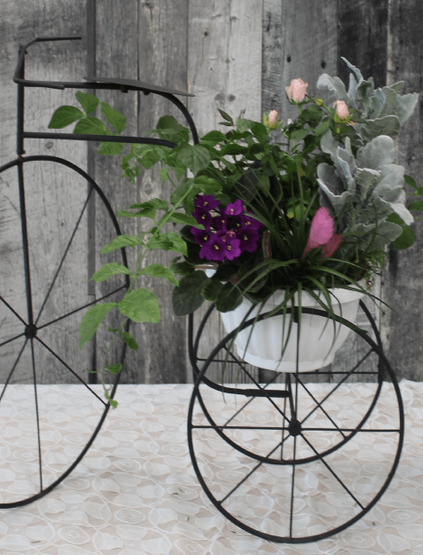 Picture of Tribute to a Horticulturist